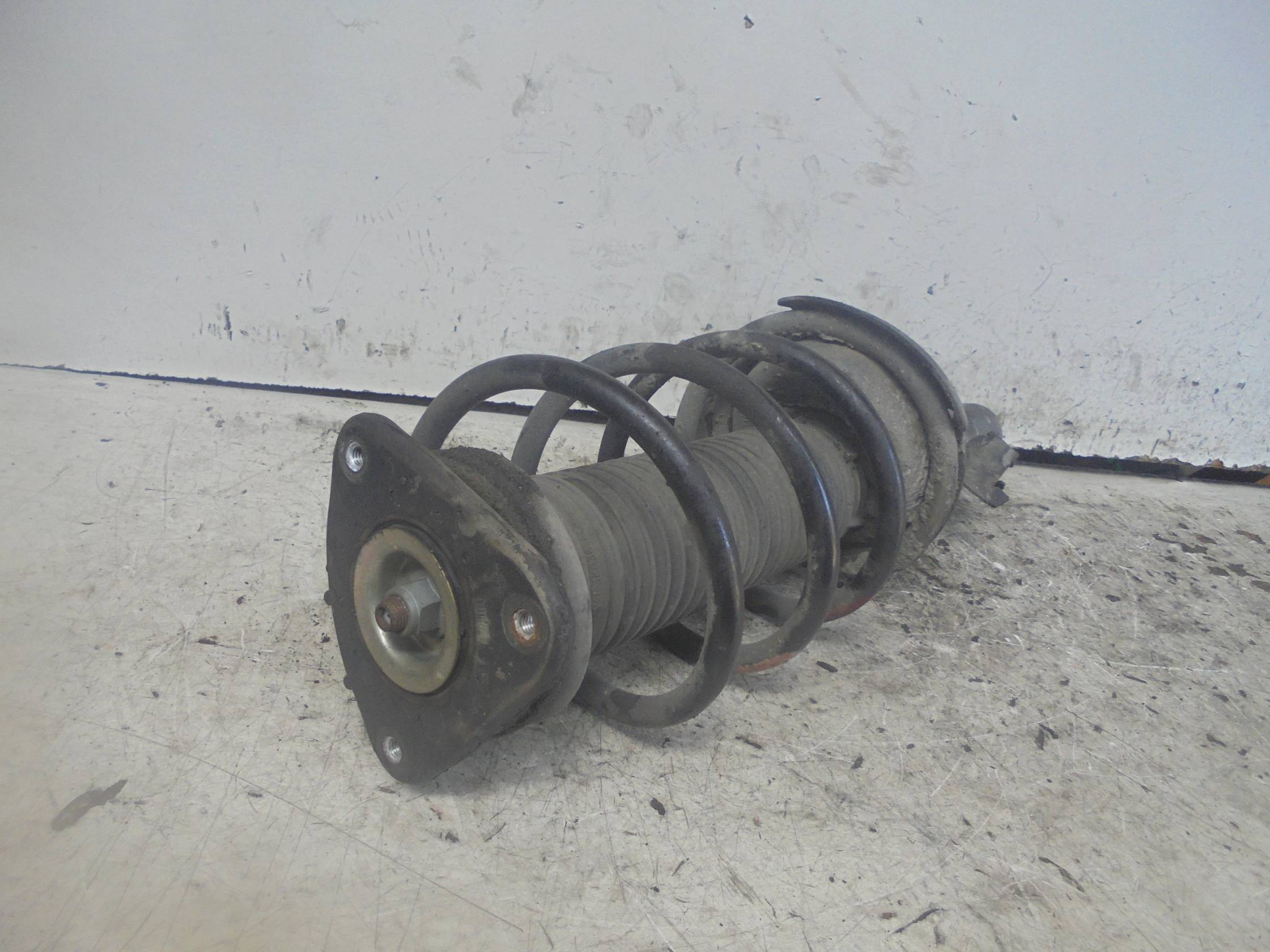 Ammortizzatore ant. sx.